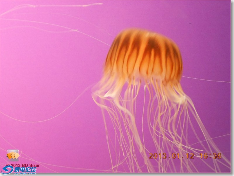 023538ibcqi059qa26wq90.jpg