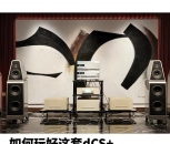 dCS+Constellation+Wilson Audio߼ϵͳ