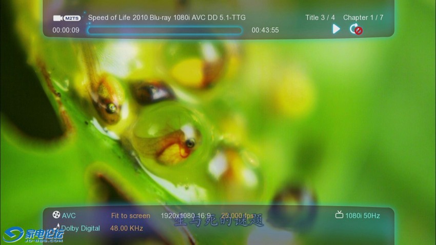 20111231-191255-19.jpg