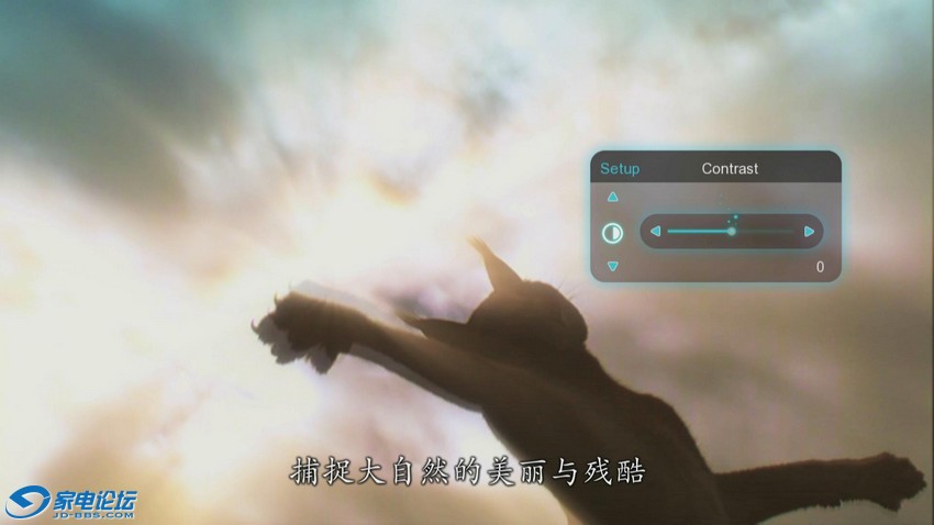 20111231-191256-21.jpg