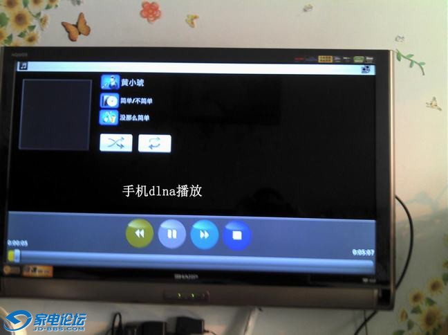 dlna1 (2).jpg