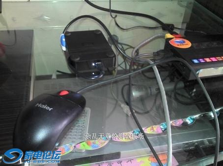 waibao (7).jpg