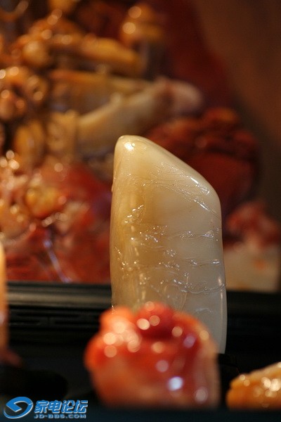 nEO_IMG_��Ƭ 181.jpg