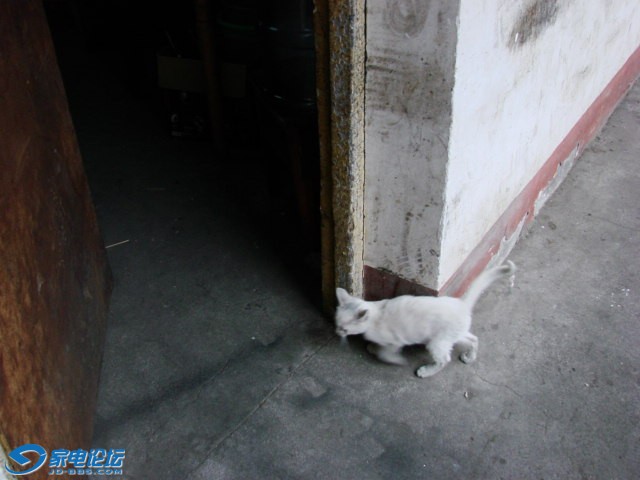 DSC04565.JPG