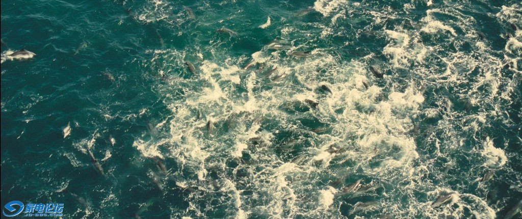 OCEANS.2010.BluRay.1080p.AC3.3Audio.x264-CHD.mkv_20120308_162240.671_С.jpg