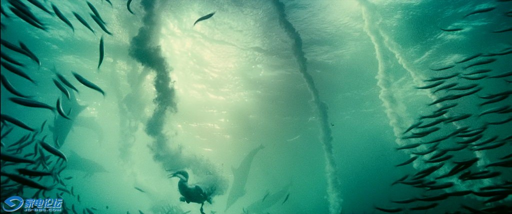OCEANS.2010.BluRay.1080p.AC3.3Audio.x264-CHD.mkv_20120308_162336.625_С.jpg