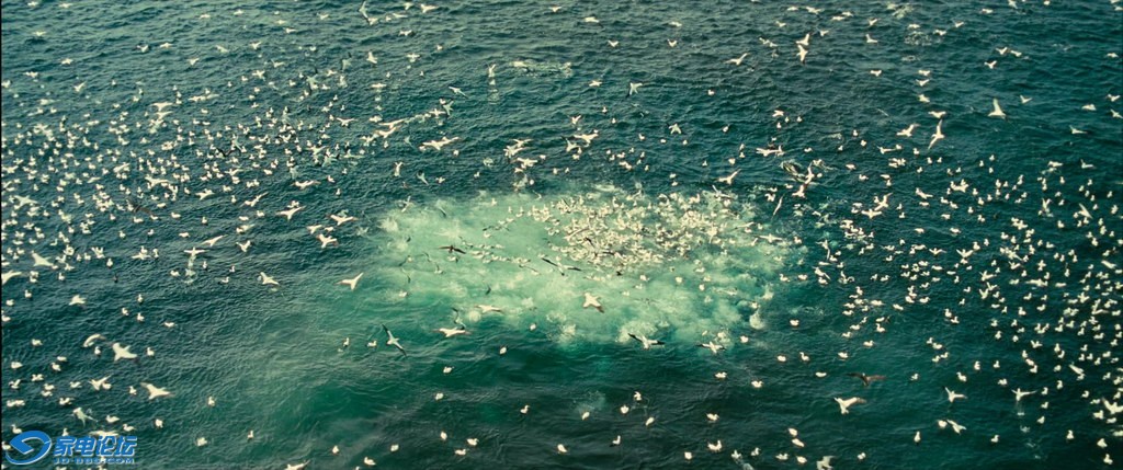 OCEANS.2010.BluRay.1080p.AC3.3Audio.x264-CHD.mkv_20120308_162353.203_С.jpg