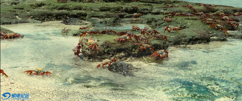 OCEANS.2010.BluRay.1080p.AC3.3Audio.x264-CHD.mkv_20120308_162544.062_С.jpg