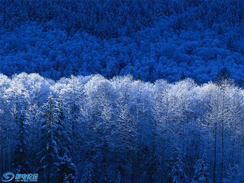 Winter.jpg