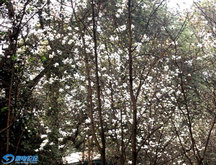 �� 23050vvvv.jpg