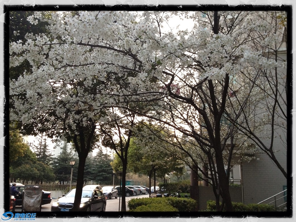 2012-04-05 13.50.07_772.JPG