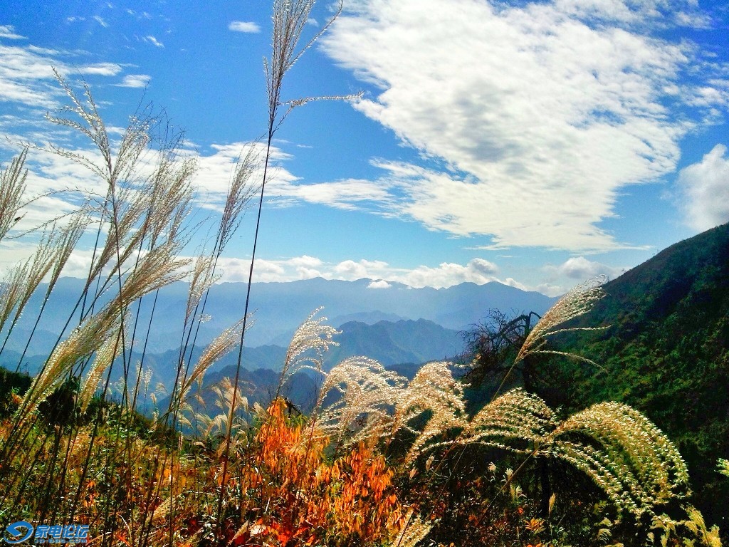 2012-04-05 13.50.11_495.JPG