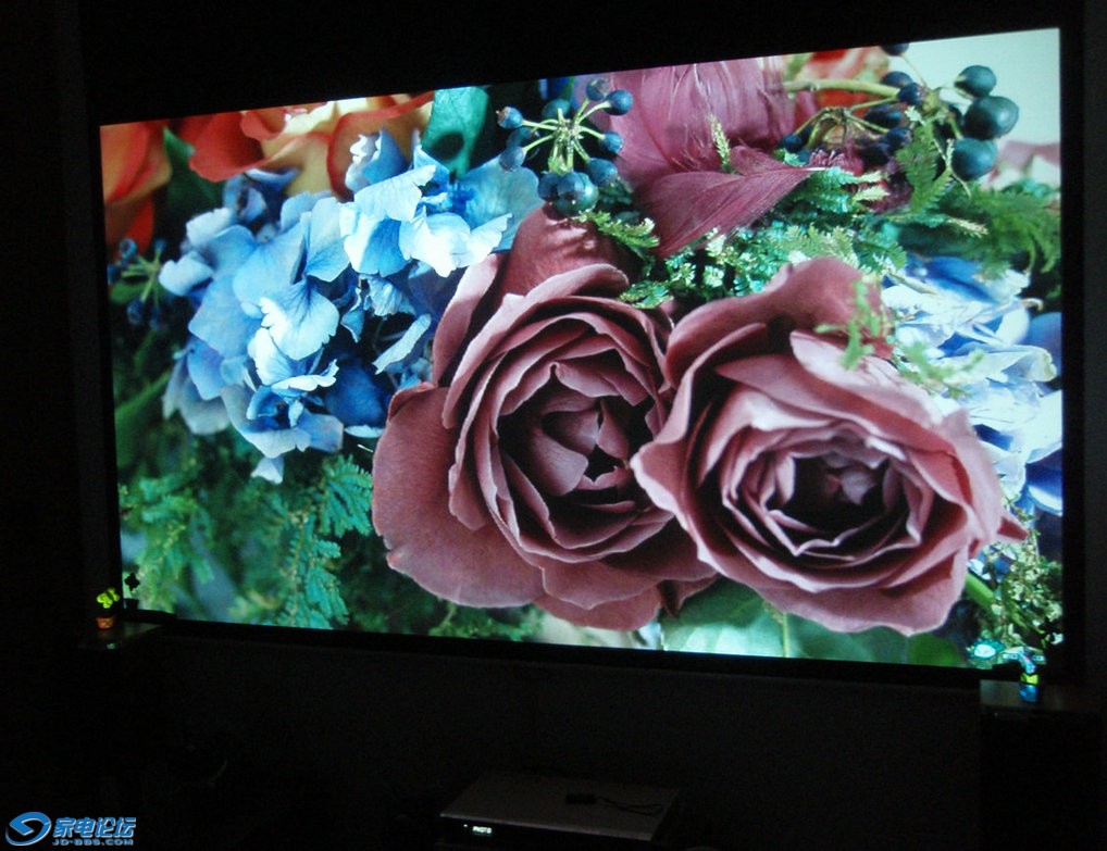 P2220311.JPG