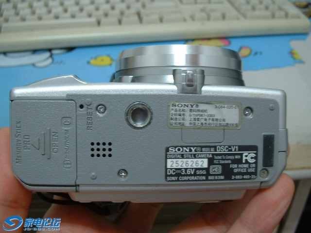 DSCF0219.JPG
