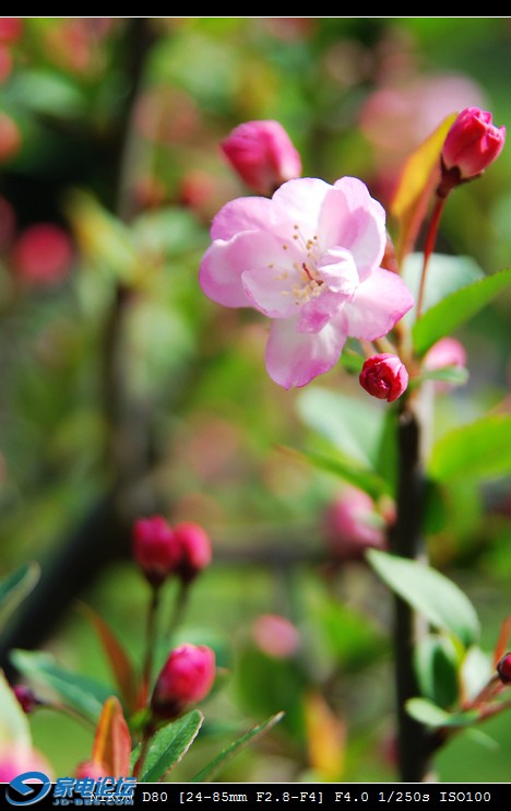 DSC_0669.jpg