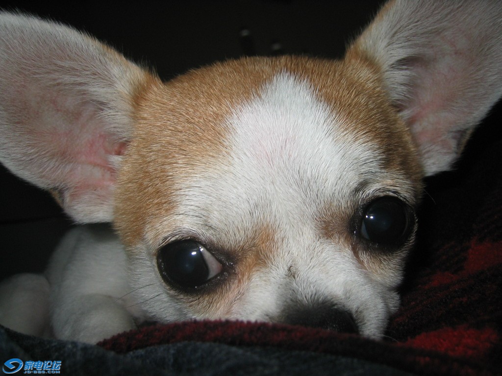 IMG_0017.JPG