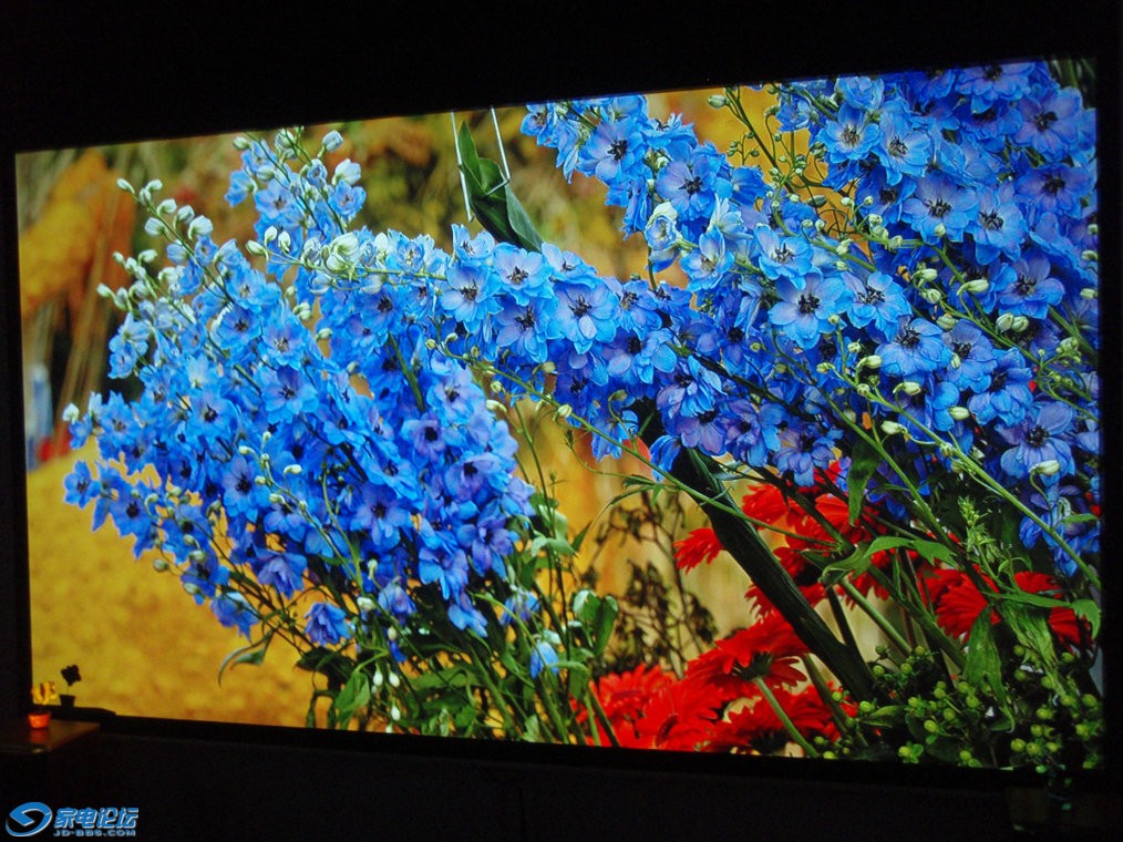 P1010106.JPG
