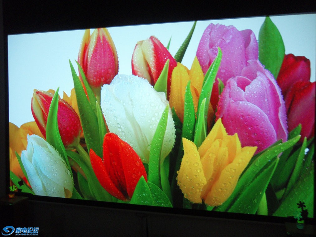 P1010107.JPG