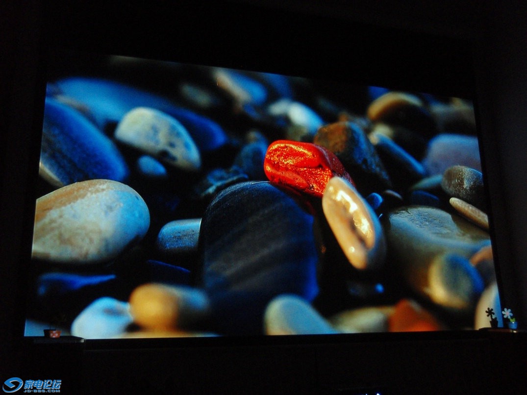 P1010073.JPG