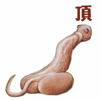 δ.gif