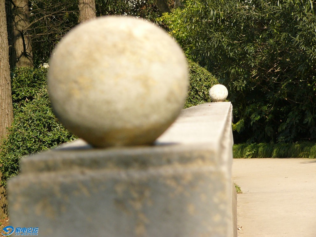P1200892.JPG
