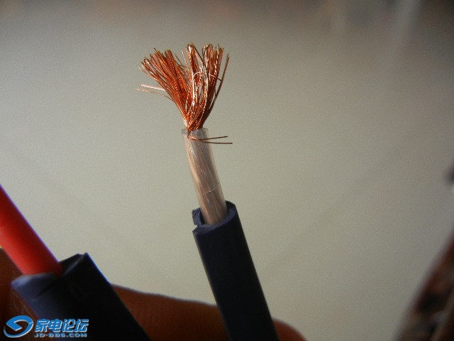 Ƭ 3055.jpg