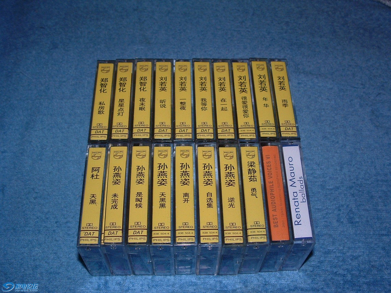 DSCF0101.JPG