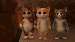 121212121.gif