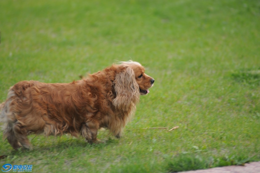 SC_8221.jpg