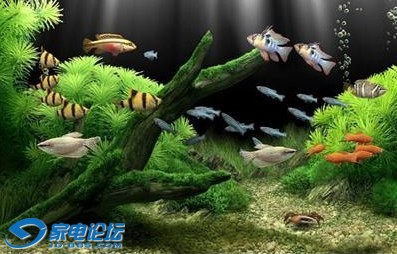 3D.jpg