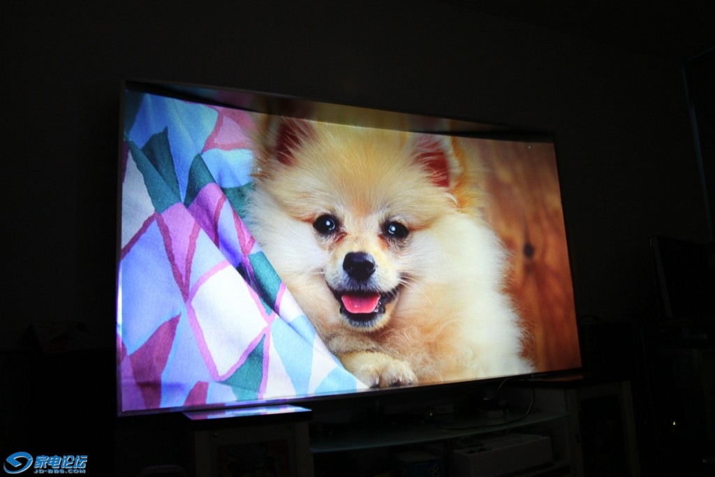 Cloth-and-dog_1920x1081.jpg