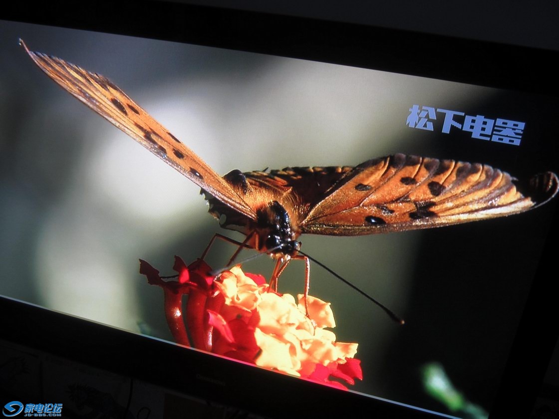 ������С ��Ƭ 016.jpg