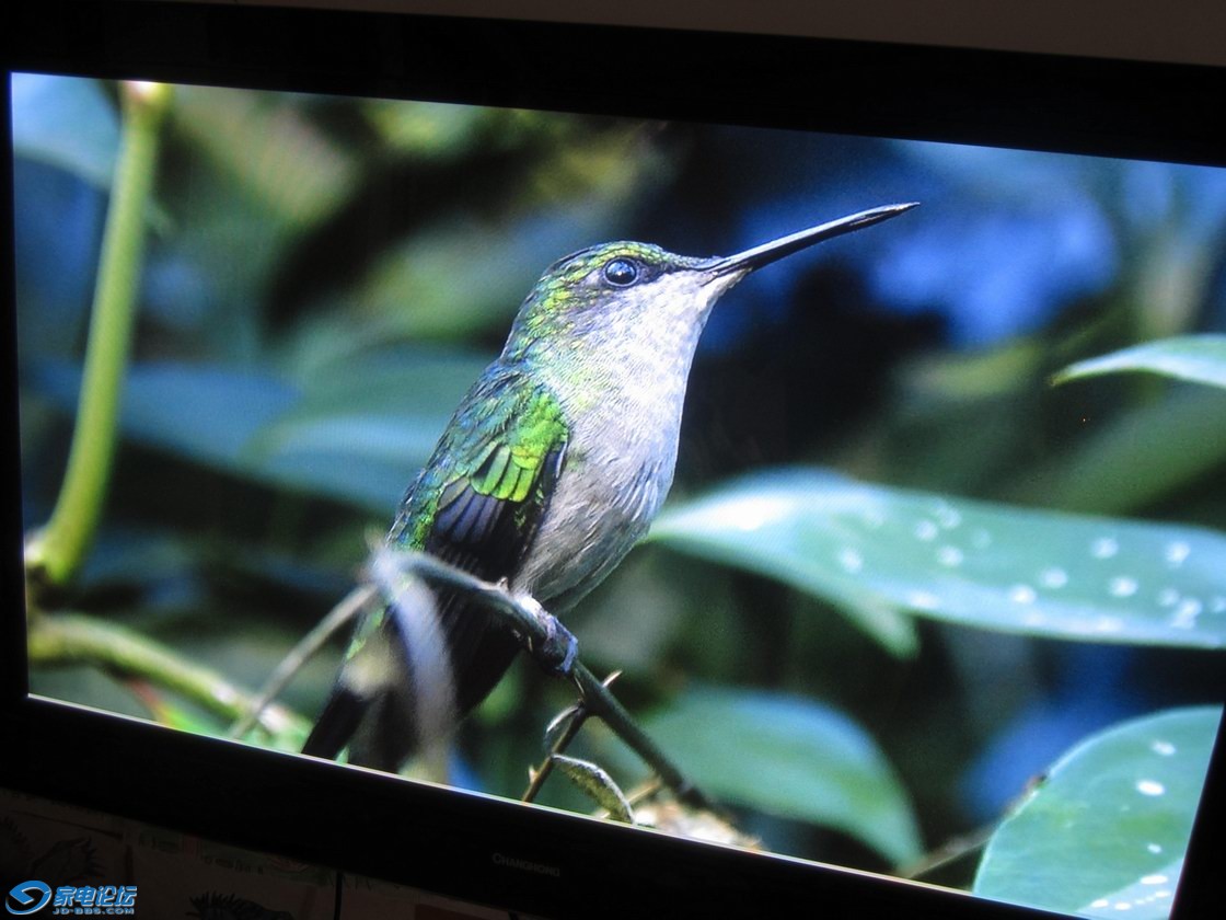 ������С ��Ƭ 015.jpg