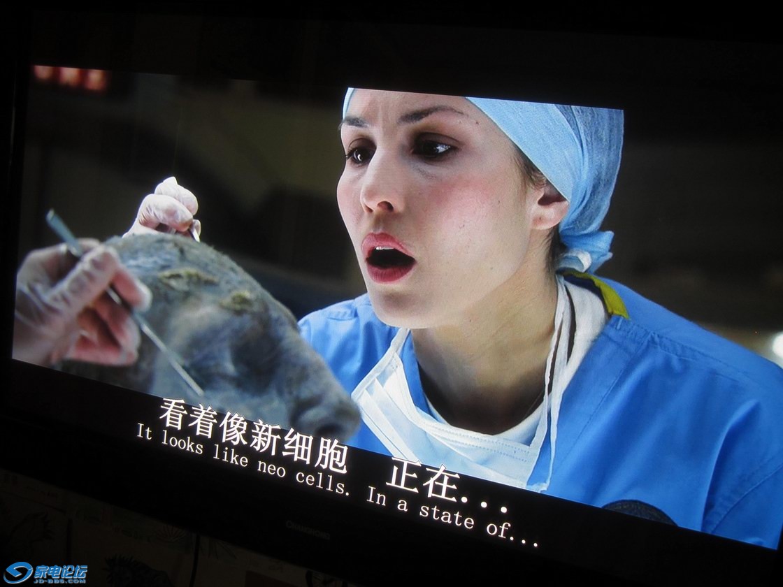 ������С ��Ƭ 009.jpg