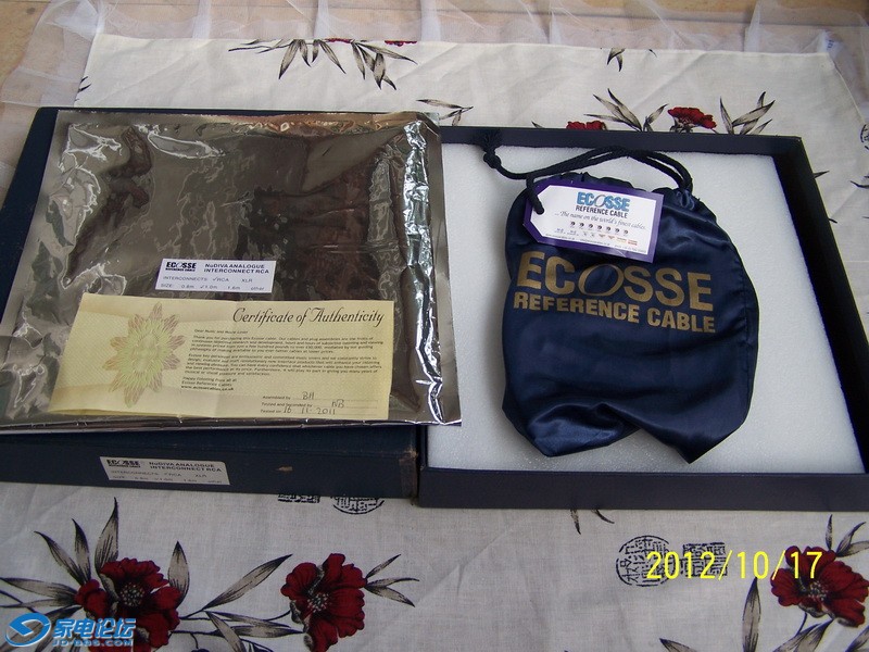 The Nu Diva RCA�ź���4.JPG