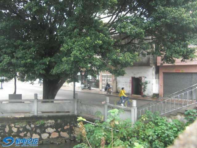 CIMG5557.jpg