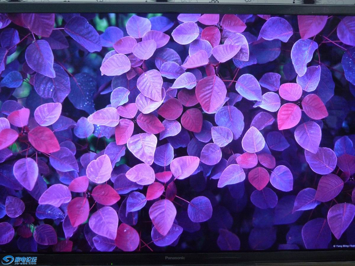 �����ĵİ���