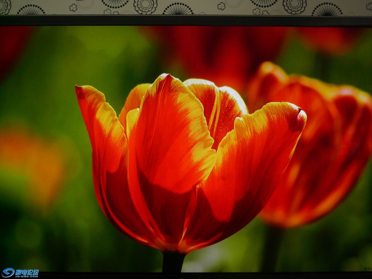 �ӽ���ʾ��