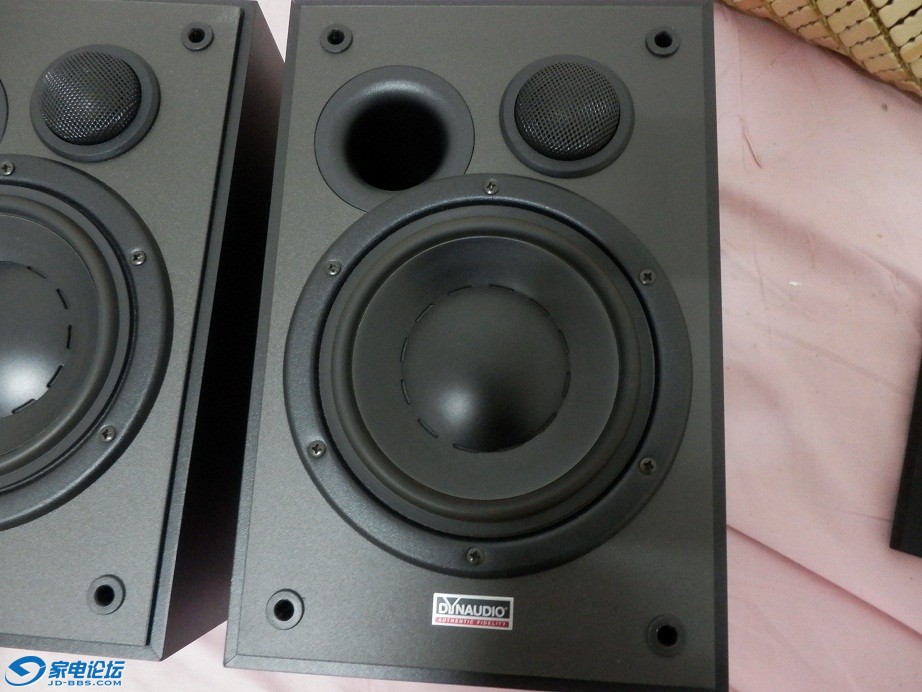 dynaudio13.jpg