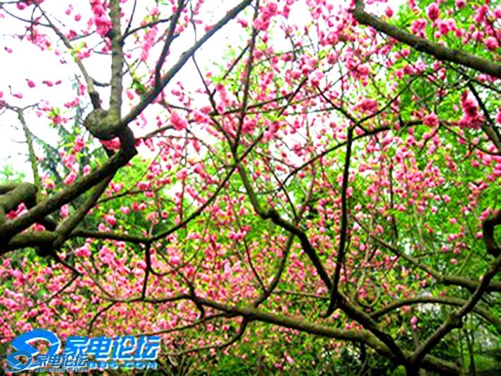 �� 15041aaaa.jpgaaa.jpg