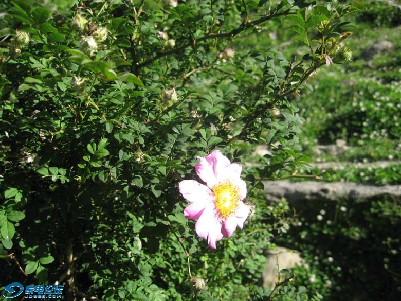 ��Ƭ 1307.jpga.jpg