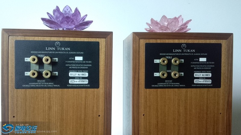 LINN TUKAN2.jpg