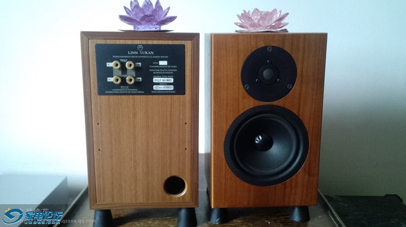 LINN TUKAN3.jpg
