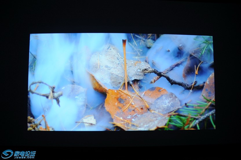 DSC_6621.JPG