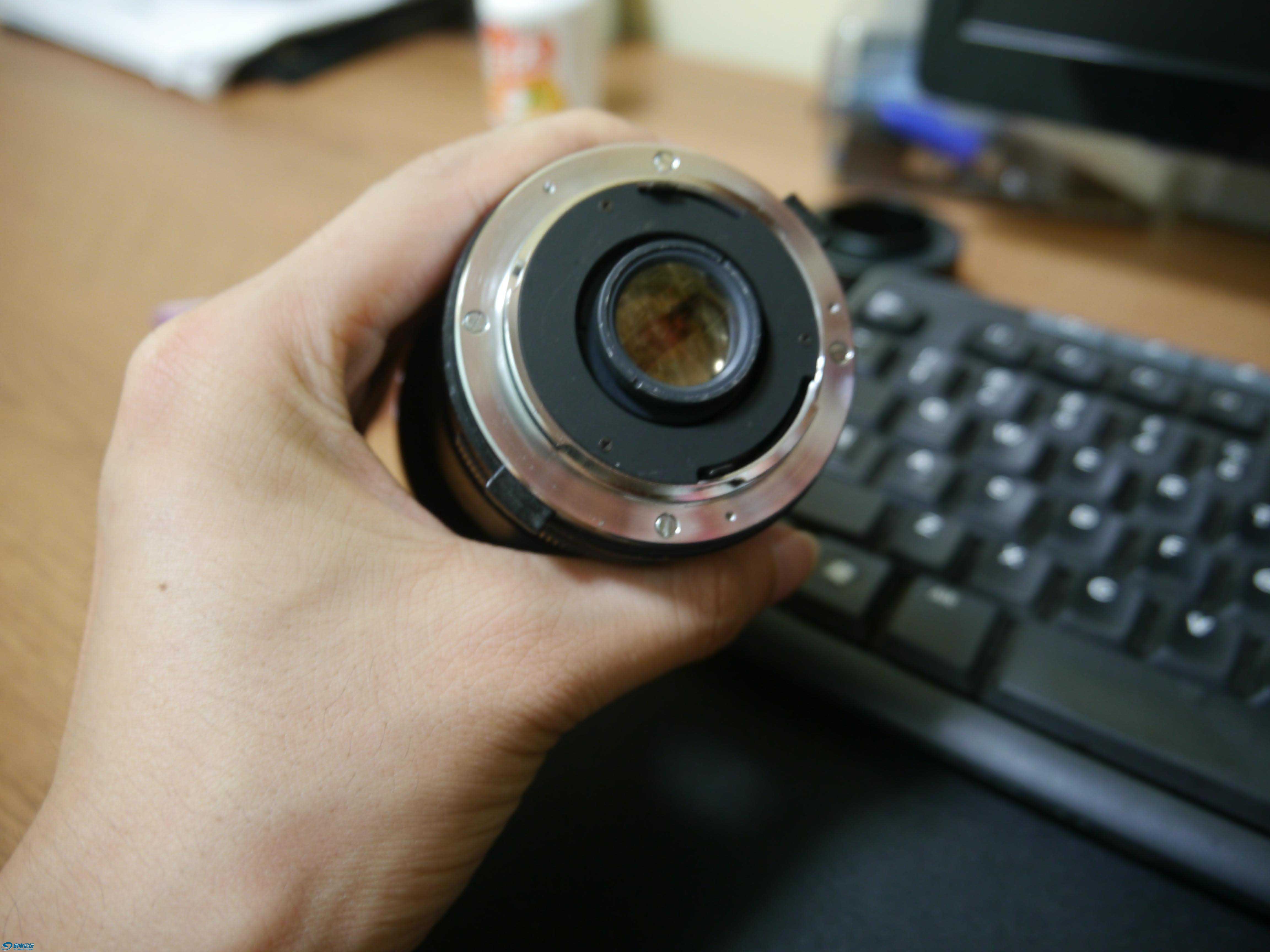 P1020491.JPG