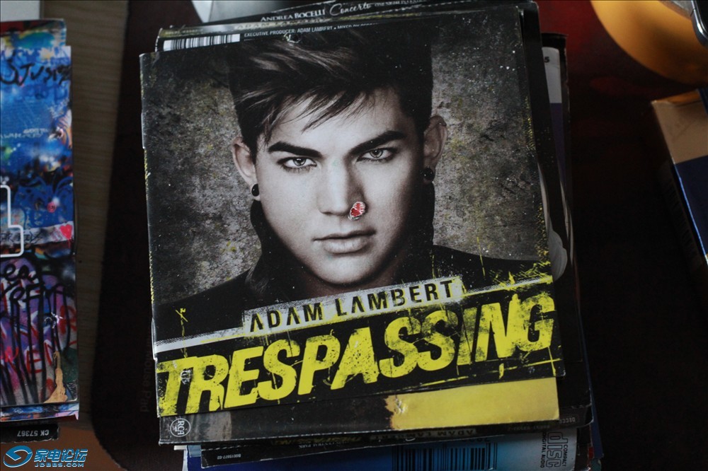 16ǵ-Trespassing -5Ԫ-10.JPG