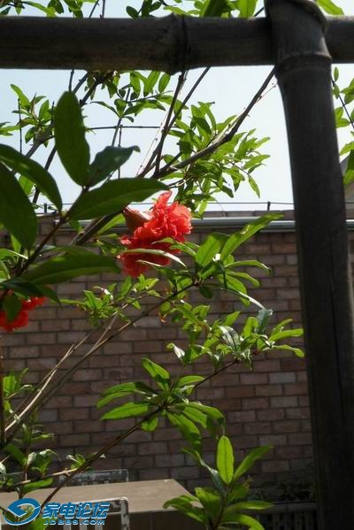 ������С������С���� 121435va4wwu6a56w345i4.jpg