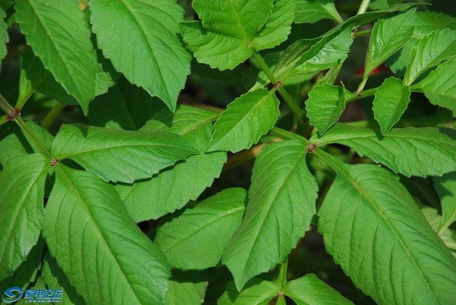 ����2�����޸ĳߴ�