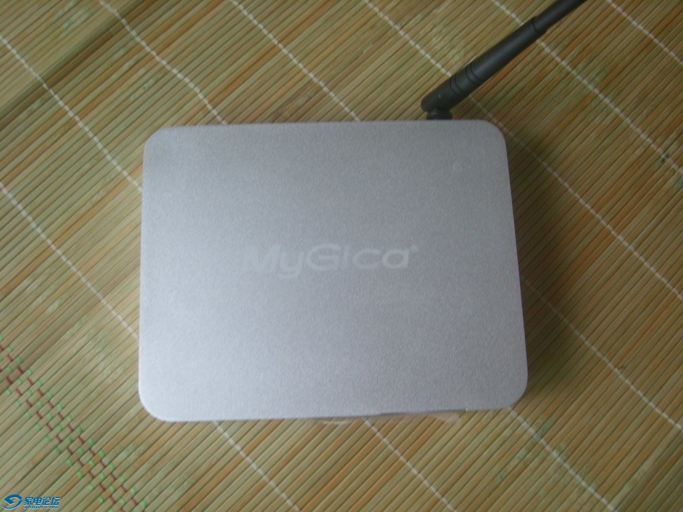 SL278776.JPG