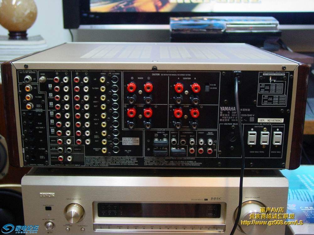 dsp a1 back.jpg